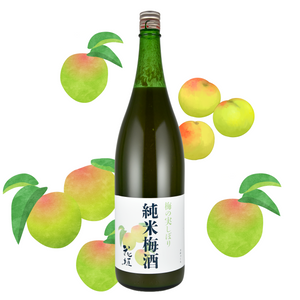 【ついに登場！限定梅酒】花垣 梅の実しぼり 純米梅酒